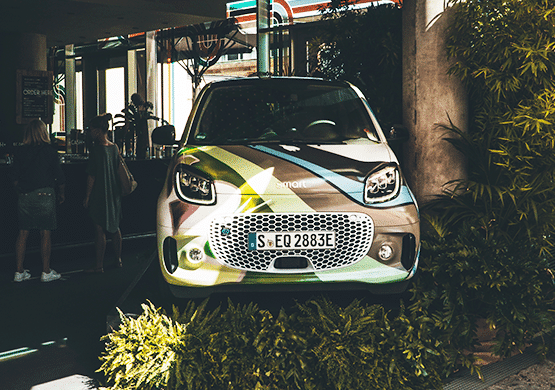 Smart Urban Safari